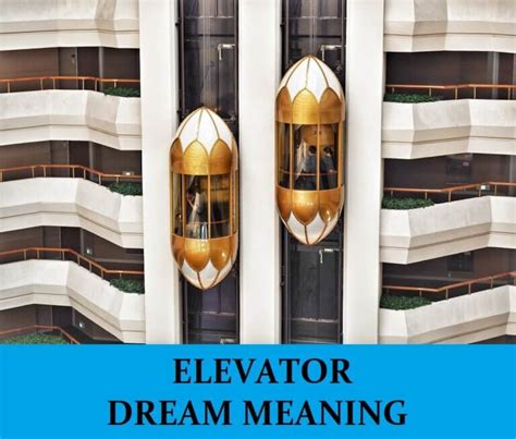 dreams about hotels and elevators|19 Meanings About Dreaming of Hotel — Khepera .
